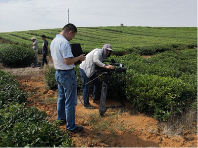 岳陽黃茶與白泥湖螃蟹亮相CCTV-7《農(nóng)廣天地》攝制服務(wù)